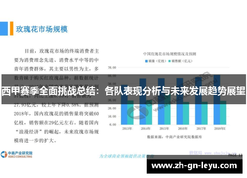 西甲赛季全面挑战总结：各队表现分析与未来发展趋势展望
