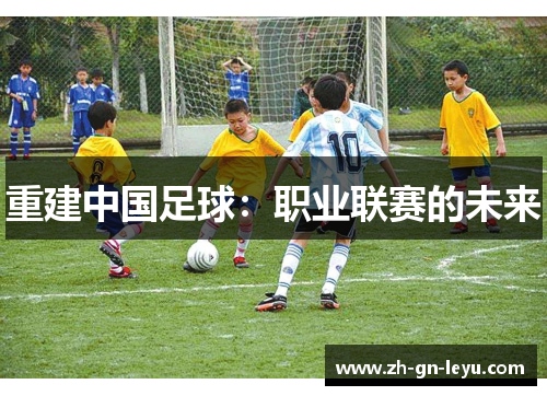 重建中国足球:职业联赛的未来 重建中国足球:职业联赛的未来