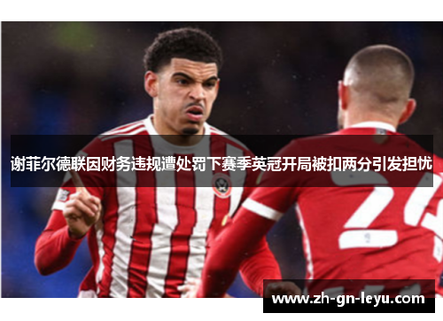 谢菲尔德联因财务违规遭处罚下赛季英冠开局被扣两分引发担忧