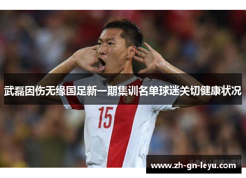 武磊因伤无缘国足新一期集训名单球迷关切健康状况